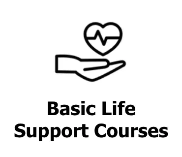 Promoting Best Practice in Basic Life Support Instruction
