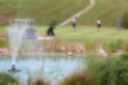 Fingle Glen Golf Course logo