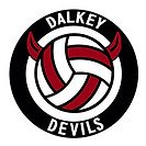 Dalkey Devils Volleyball Club