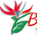 Bird Of Paradise Training logo