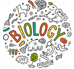 Biology Tutor Online