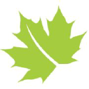 Leaf Training Solutions logo