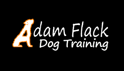 Adam Flack Dog Training Bishops Stortford