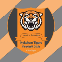 Hykeham Tigers Fc logo