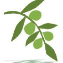 Olive Compliance Ltd logo