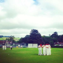 Torquay Cricket Club logo