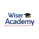 Wiser Academy logo