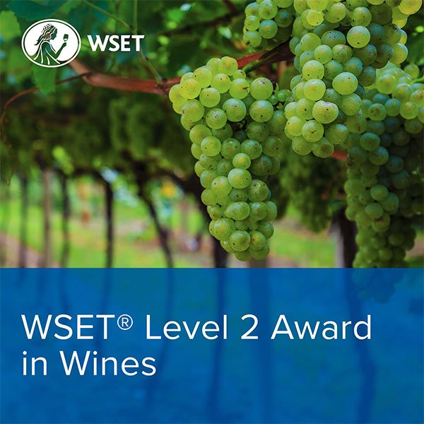 WSET L2 Award in Wines Stanlake Park Winery