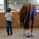 Inspired Equine Assisted Learning logo