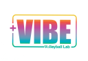 VIBE Volleyball Lab logo