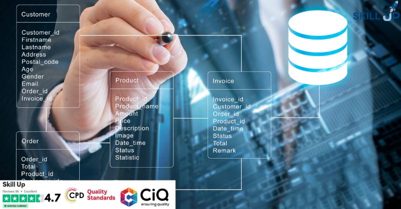 Diploma in Database Basics at QLS Level 5