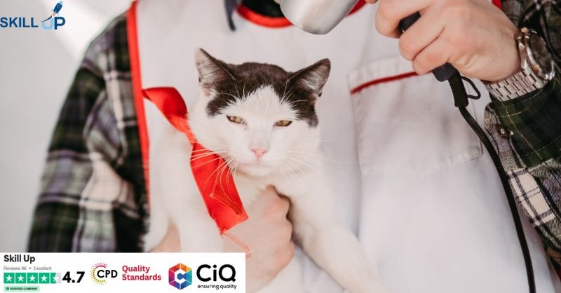 Animal Care & Management Training (Online) - CPD Certified