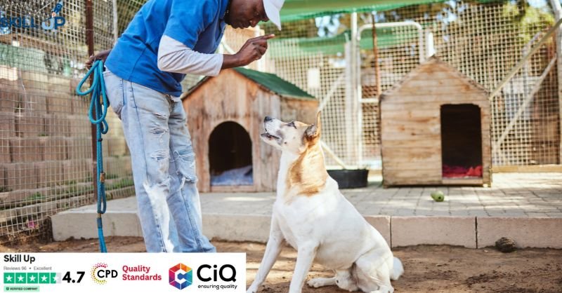 Animal Care Diploma: Animal Science, Pet First Aid & Dog Training
