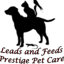 Leads And Feeds - Dog Training