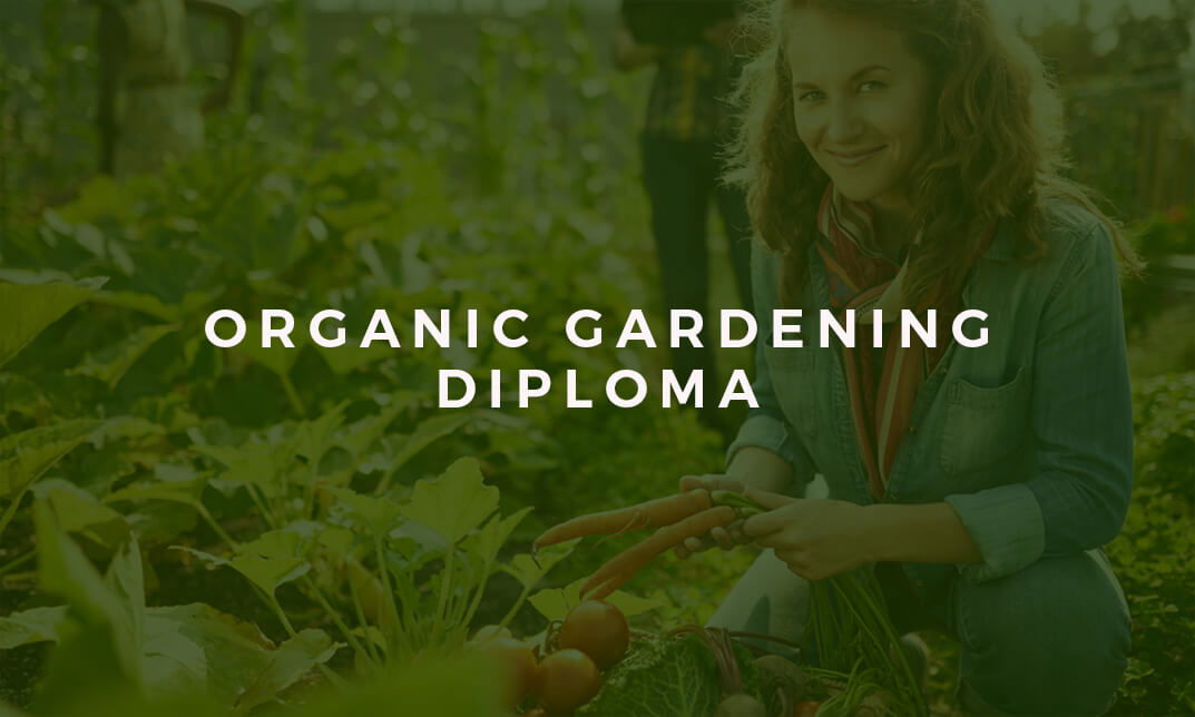 Organic Gardening Diploma