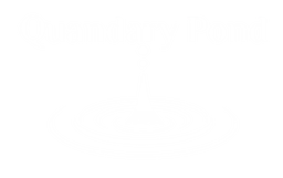 Quandary Pond - Hypnotherapy & Personal Life Coach