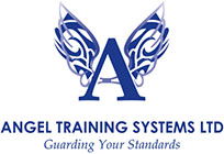 Angel Training Systems