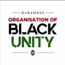 Black Unity logo