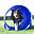 Barking Mad The Dog Training And Behaviour Company logo