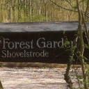 Forest Garden Shovelstrode Ltd logo