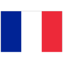 French Tutor Surrey logo