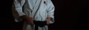 Shinri Karate Schools logo