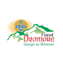 1St Dromore Newry Scout Group logo