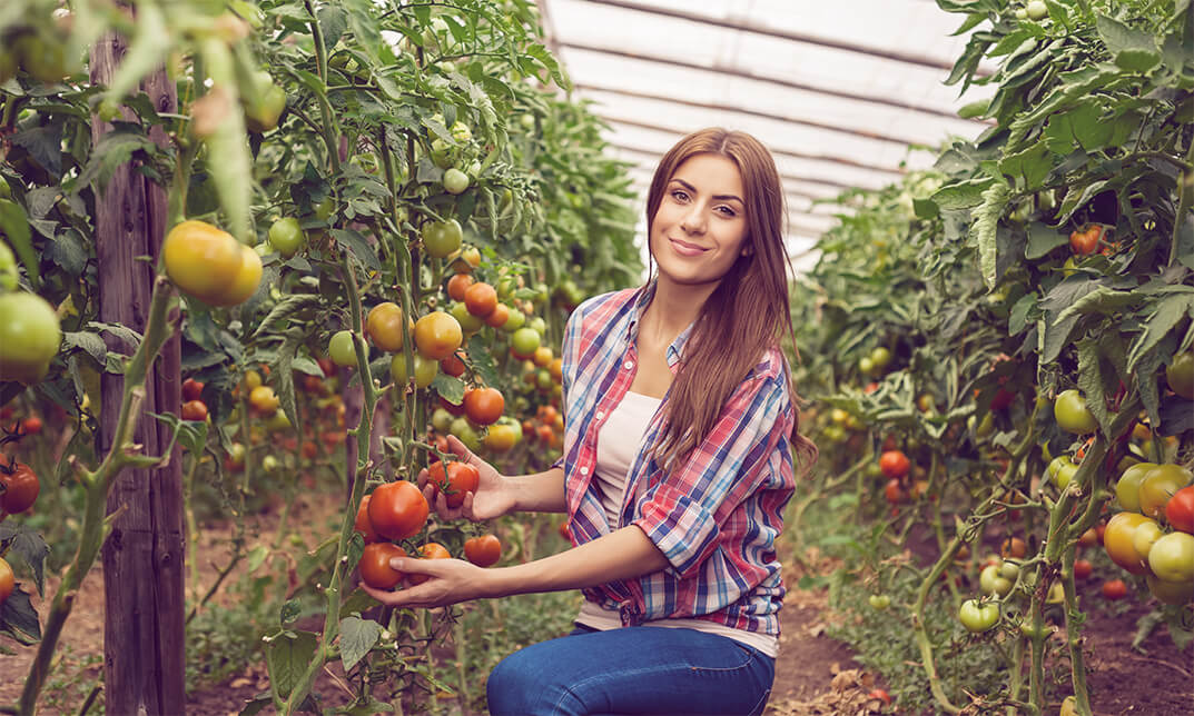 Greenhouse Growing Accredited Diploma