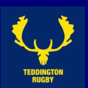 Teddington Rfc