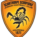 Scawthorpe Scorpions Jfc logo