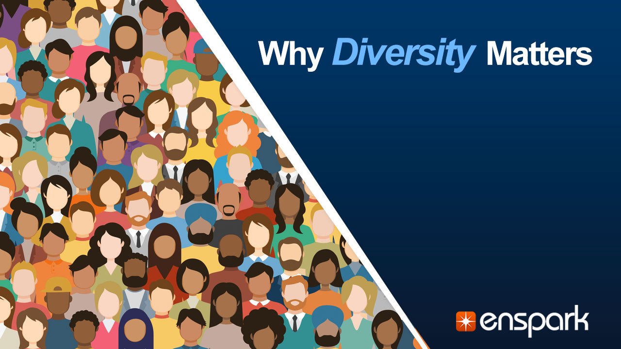 Why Diversity Matters