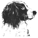 Tawnyhill Gundogs logo