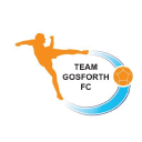 Team Gosforth Football Club Ltd logo