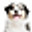 Mid Suffolk Dog Handlers logo