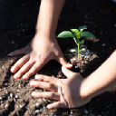 The Planting Seeds Program logo