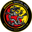 Dragon Martial Arts Gloucester logo