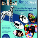 Dogdays Day Care, Grooming & Training Centre