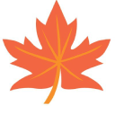 Maple Online Education logo