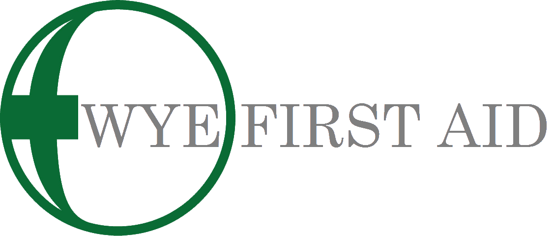 Wye First Aid logo