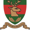 Downpatrick Cricket Club logo