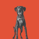 Dog Training By Design logo