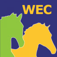 Widbrook equestrian centre logo