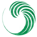 Wave Brazilian Jiu Jitsu logo