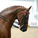 Aintree International Equestrian Centre logo