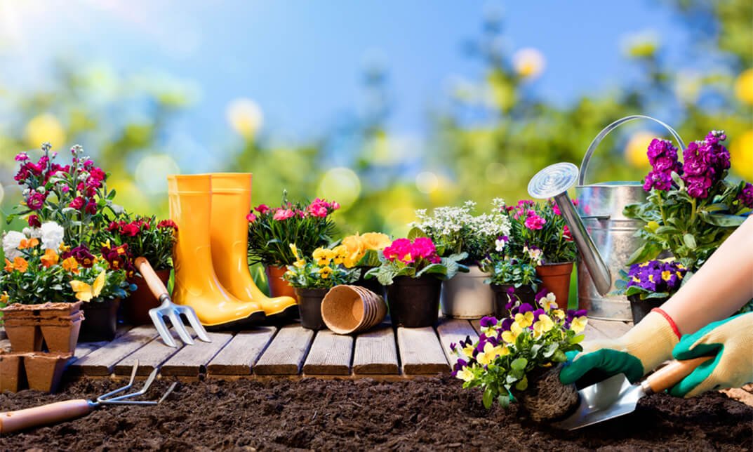 Gardening and Greenhouse Management Diploma