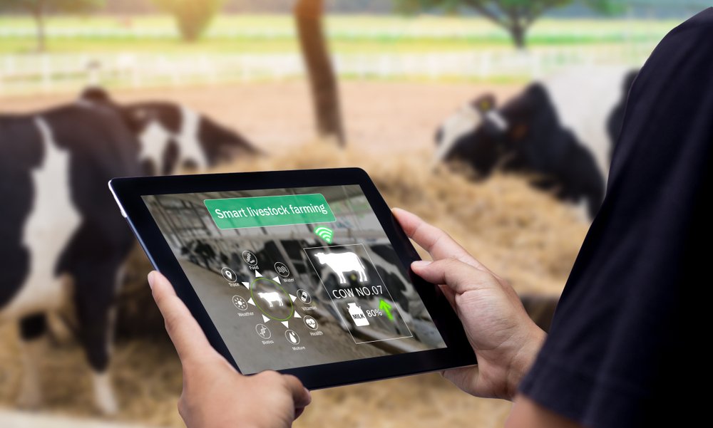 Livestock Management: Basics and Business