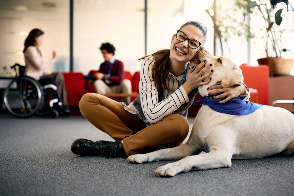 Animal Assisted Therapy Course: Methods & Benefits