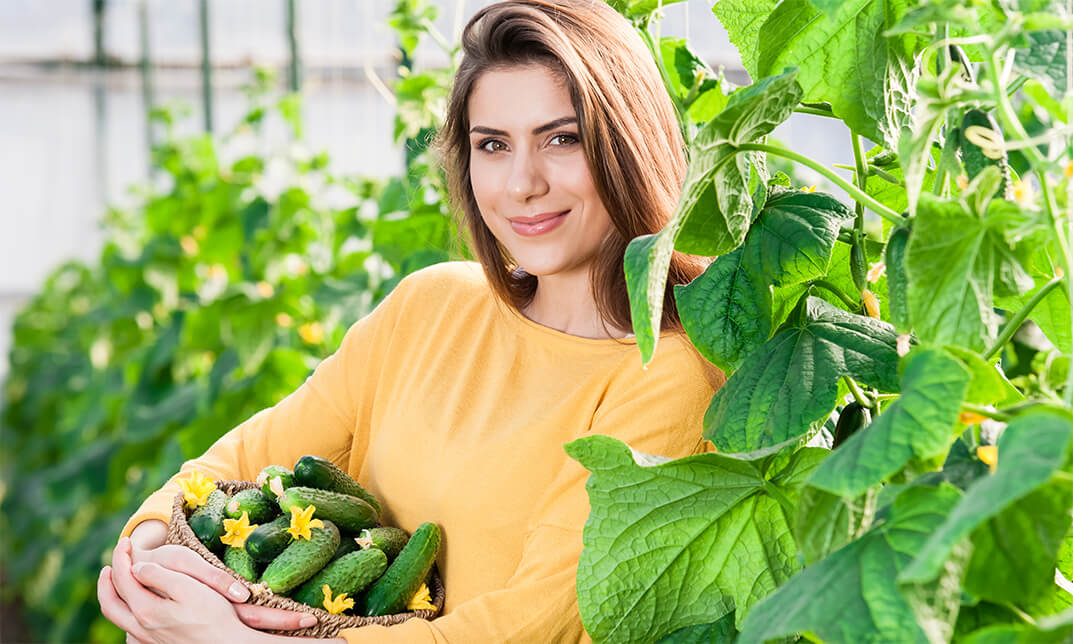 Diploma in Organic Gardening