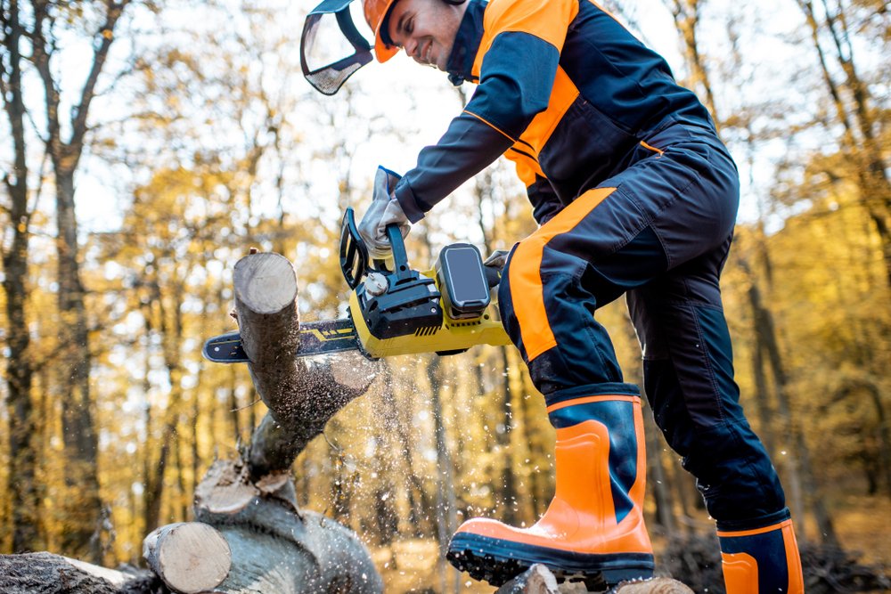Chainsaw Safety Course Online: Master Safe Sawing & Avoid Injury