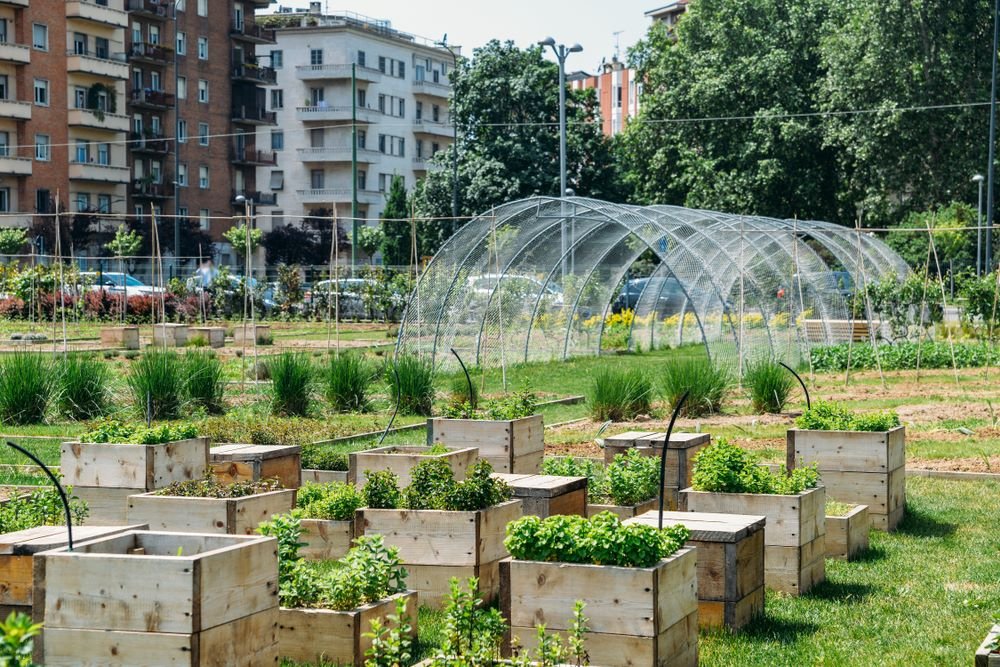 Urban Farming and Gardening: Modern Agricultural Methods